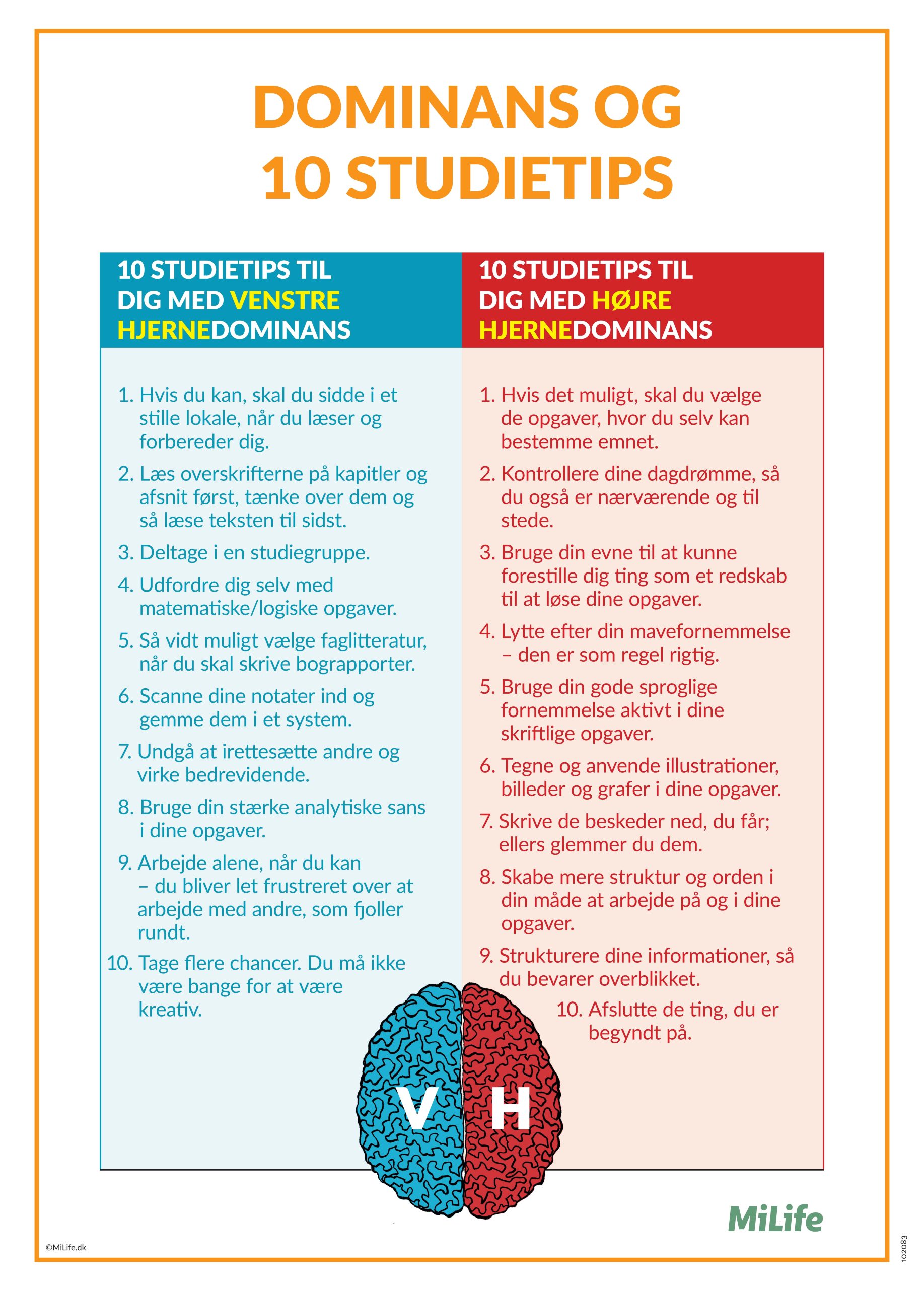Plakat med titlen ‘Dominans og 10 studietips’, der giver konkrete studieråd til forskellige læringsstile baseret på venstre og højre hjernedominans. Formålet er at hjælpe den enkelte med at udnytte sine styrker og skabe mere effektive og personlige studievaner.