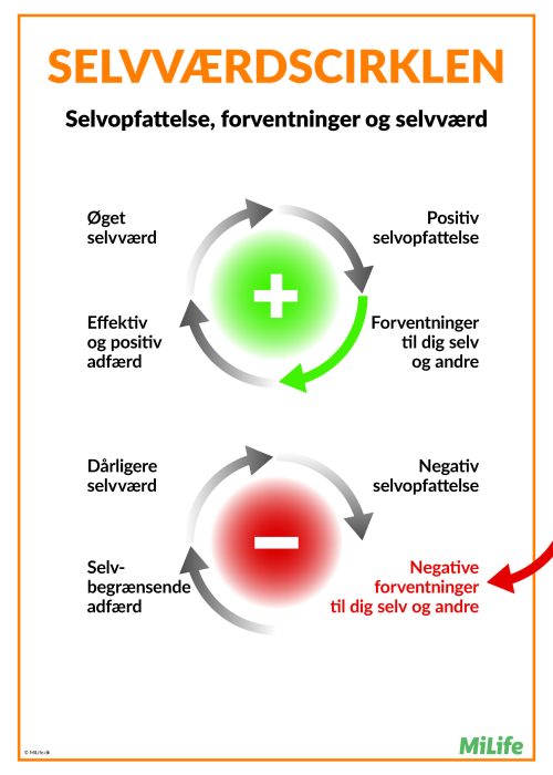 Plakat med to cirkler, der viser sammenhængen mellem selvopfattelse, forventninger, adfærd og selvværd – kaldet Selvværdscirklen.