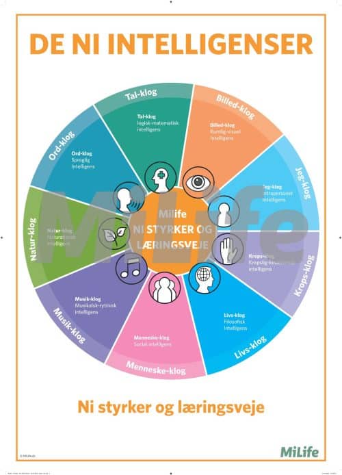 Oversigt over Howard Gardners ni intelligenser – ord-klog, tal-klog, billed-klog m.fl. – en plakat der viser læringsveje og styrker.