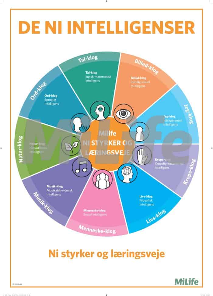 Oversigt over Howard Gardners ni intelligenser – ord-klog, tal-klog, billed-klog m.fl. – en plakat der viser læringsveje og styrker.